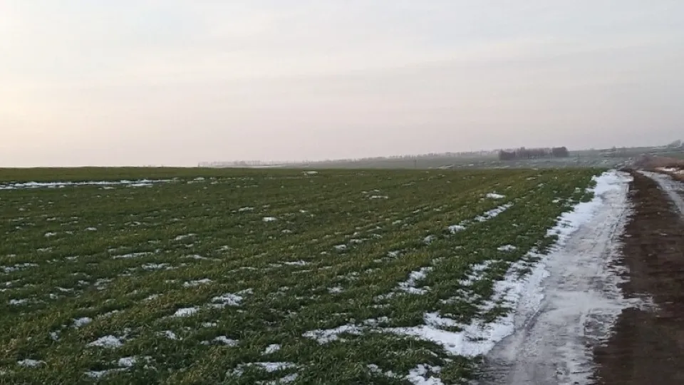 Фото:&nbsp;Министерство сельского хозяйства и продовольствия Московской области
