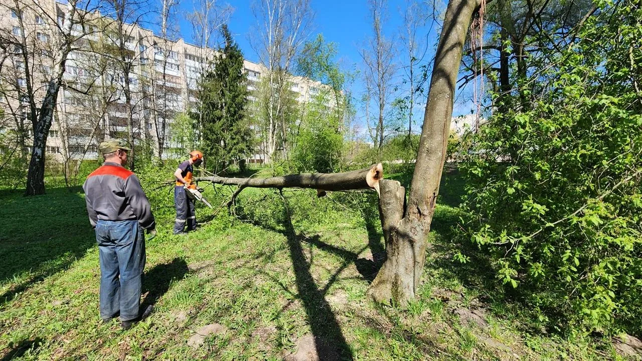 Картинка