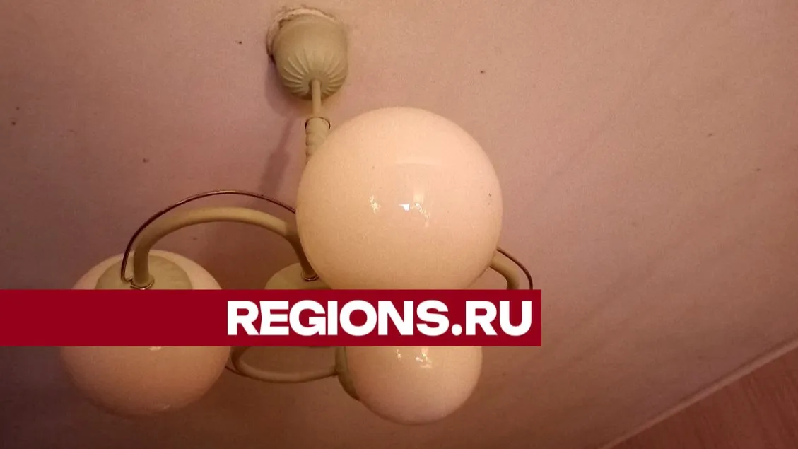 Фото: Олег Книжник