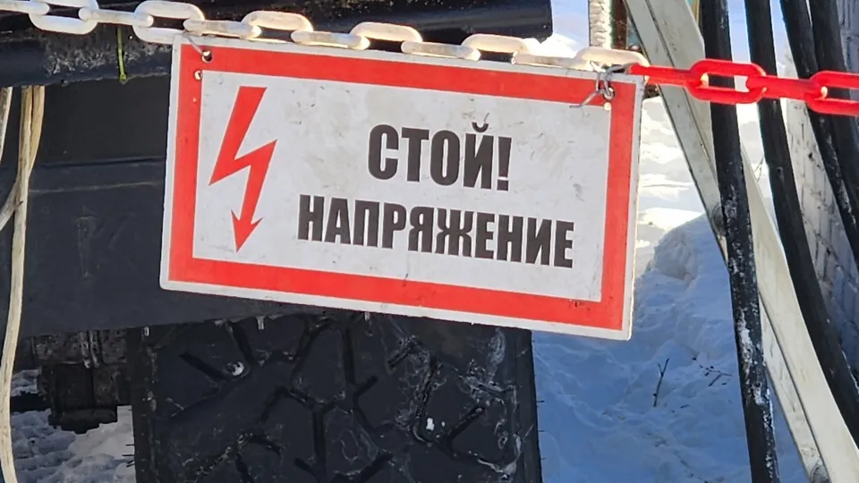 Фото: МедиаБанк Подмосковья/Алена Притула