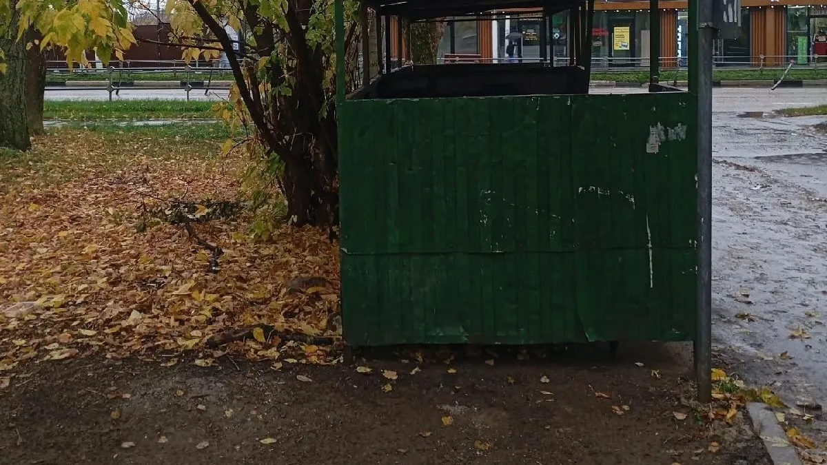 Картинка