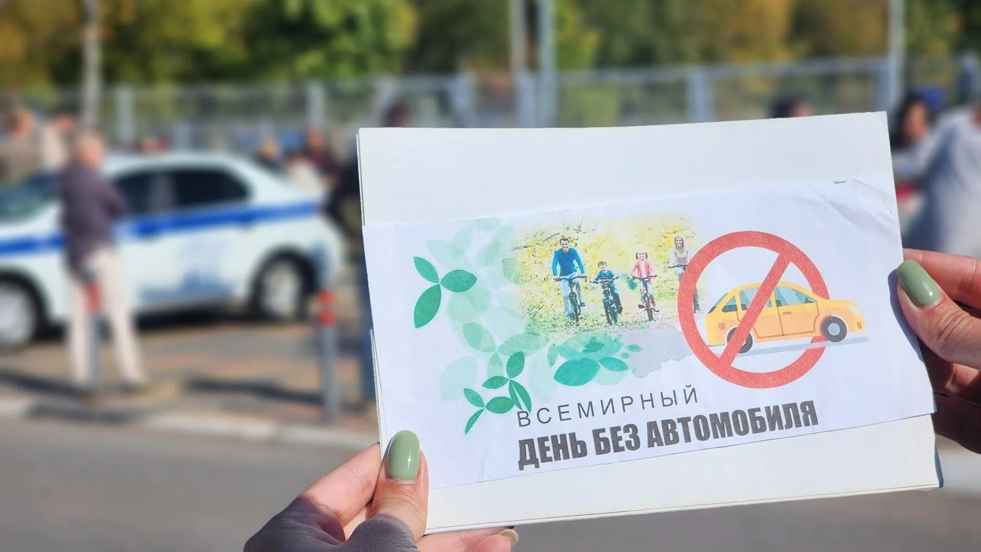 Пригласить Проститутку В Городе Павловский Посад