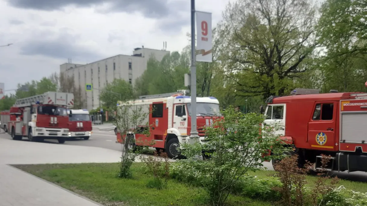 Фото: Дарья Недошивина