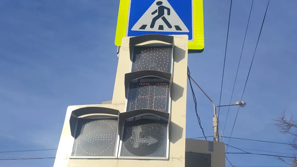 Фото: МедиаБанк Подмосковья/Андросова Юлия