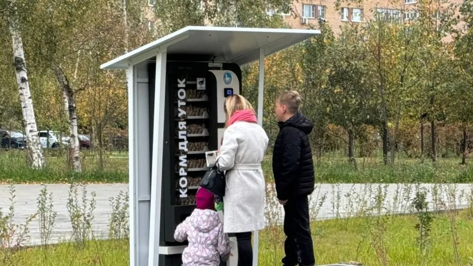 Фото: пресс-служба администрации г.о. Лобня