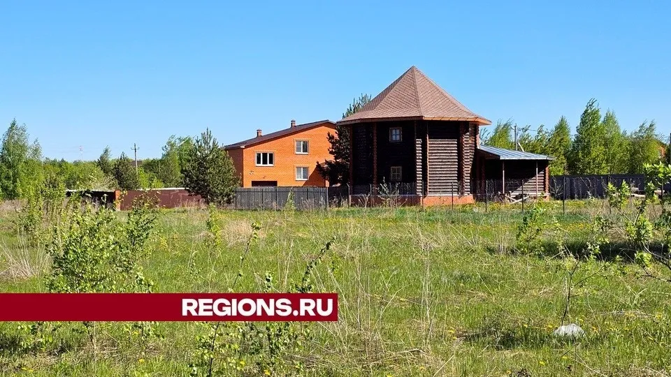 Фото: REGIONS/Александр Дрожжин