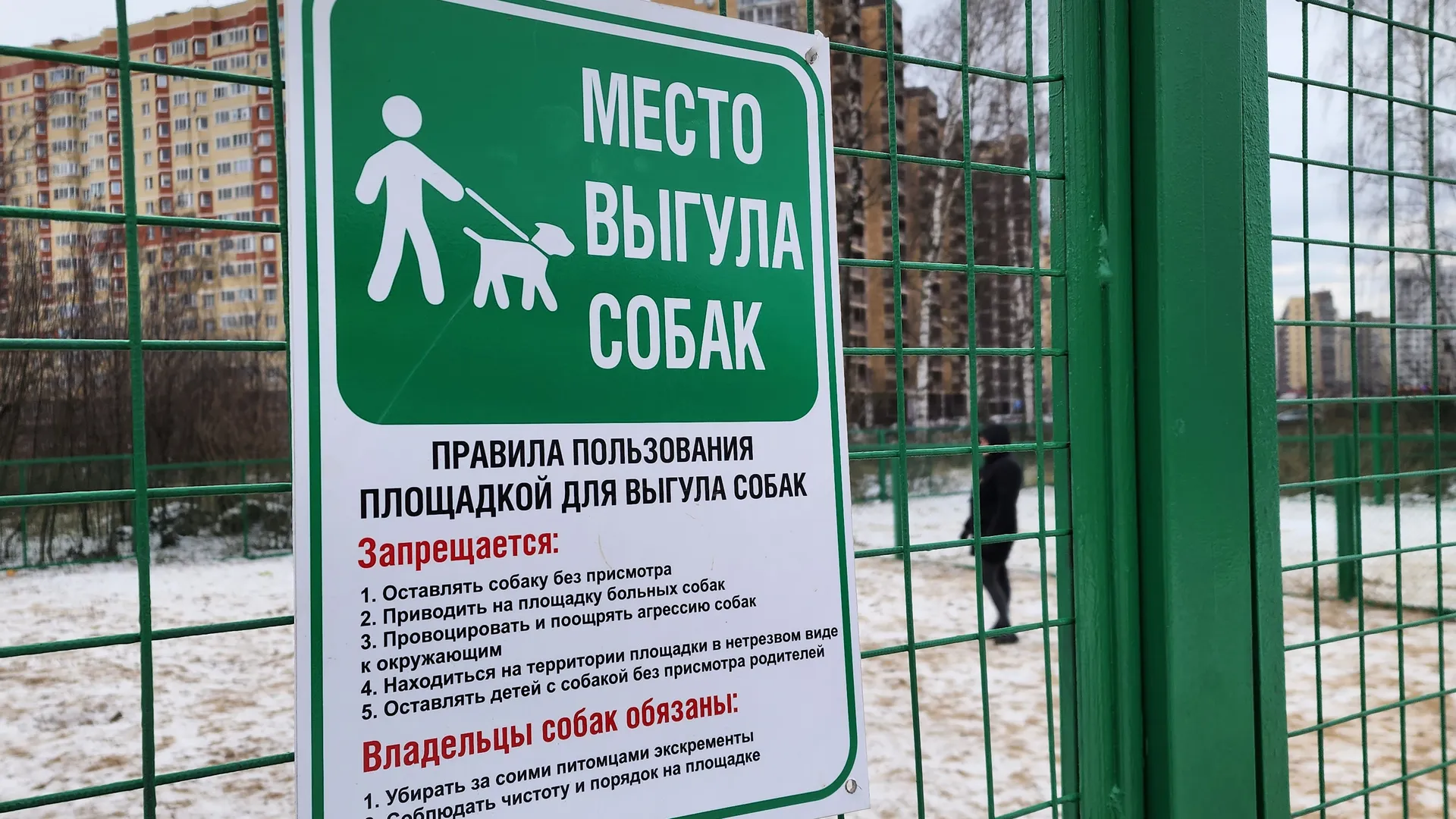 Фото: Валерия Тингаева