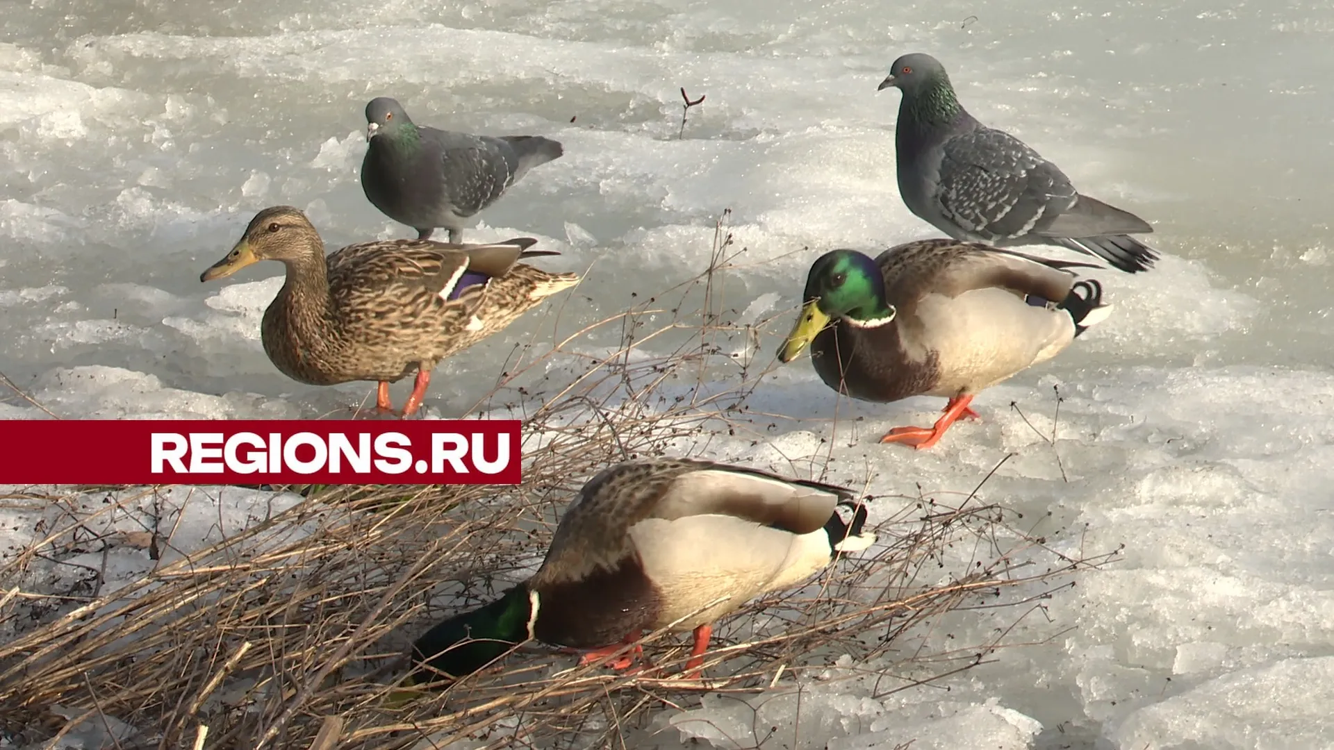 Фото: Ксения Казакова