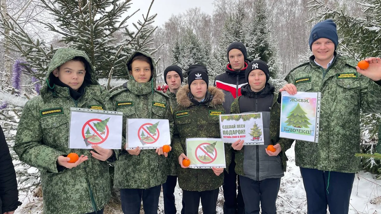 Фото: Ступинский филиал ГАУ МО «Мособллес»