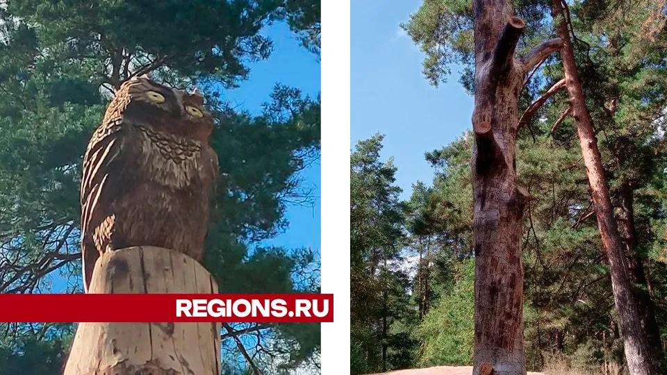 Вот такую фигуру филина (слева разместили лесничие) на столбе. Сегодня от нее не осталось и следа. Фото: REGIONS/Василий Тремасов