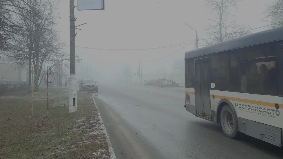 Фото: МедиаБанк Подмосковья/Мартыненко Михаил