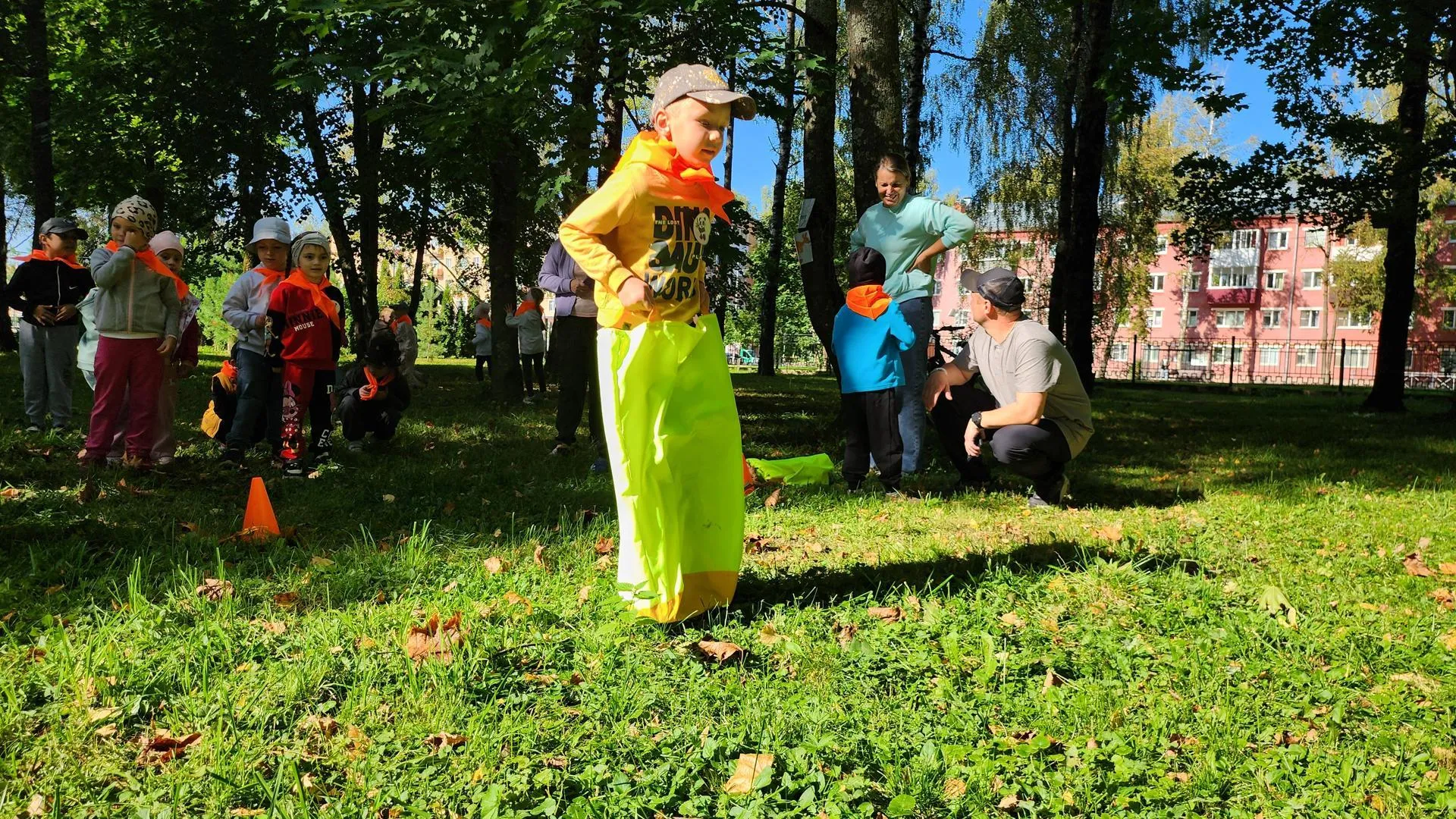 Картинка