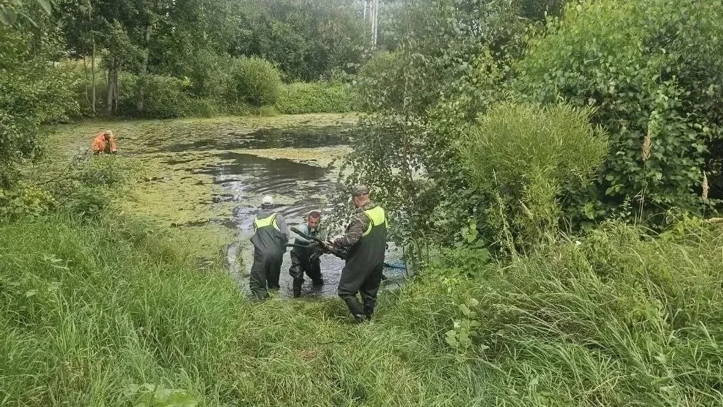 Картинка