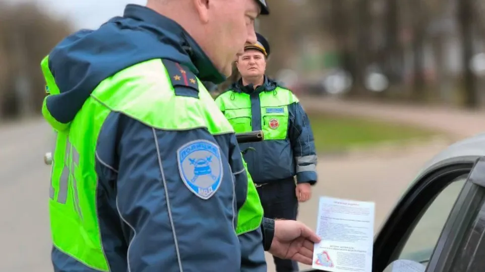 Фото: Госавтоинспекция Подмосковья