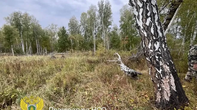 прокуратура Новосибирской области