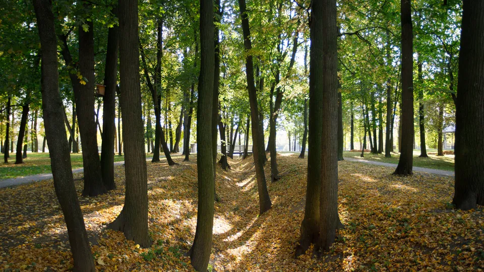 Фото: медиасток.рф