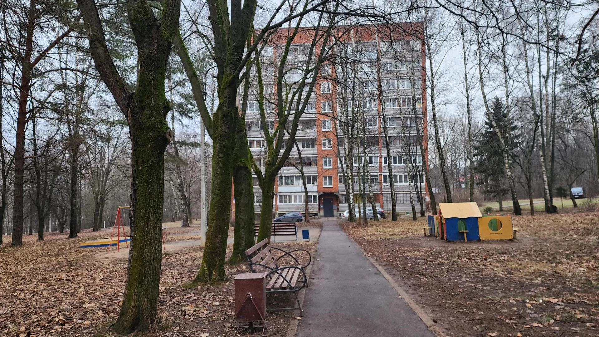 Картинка