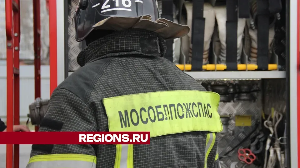 Фото: REGIONS/Василий Тремасов