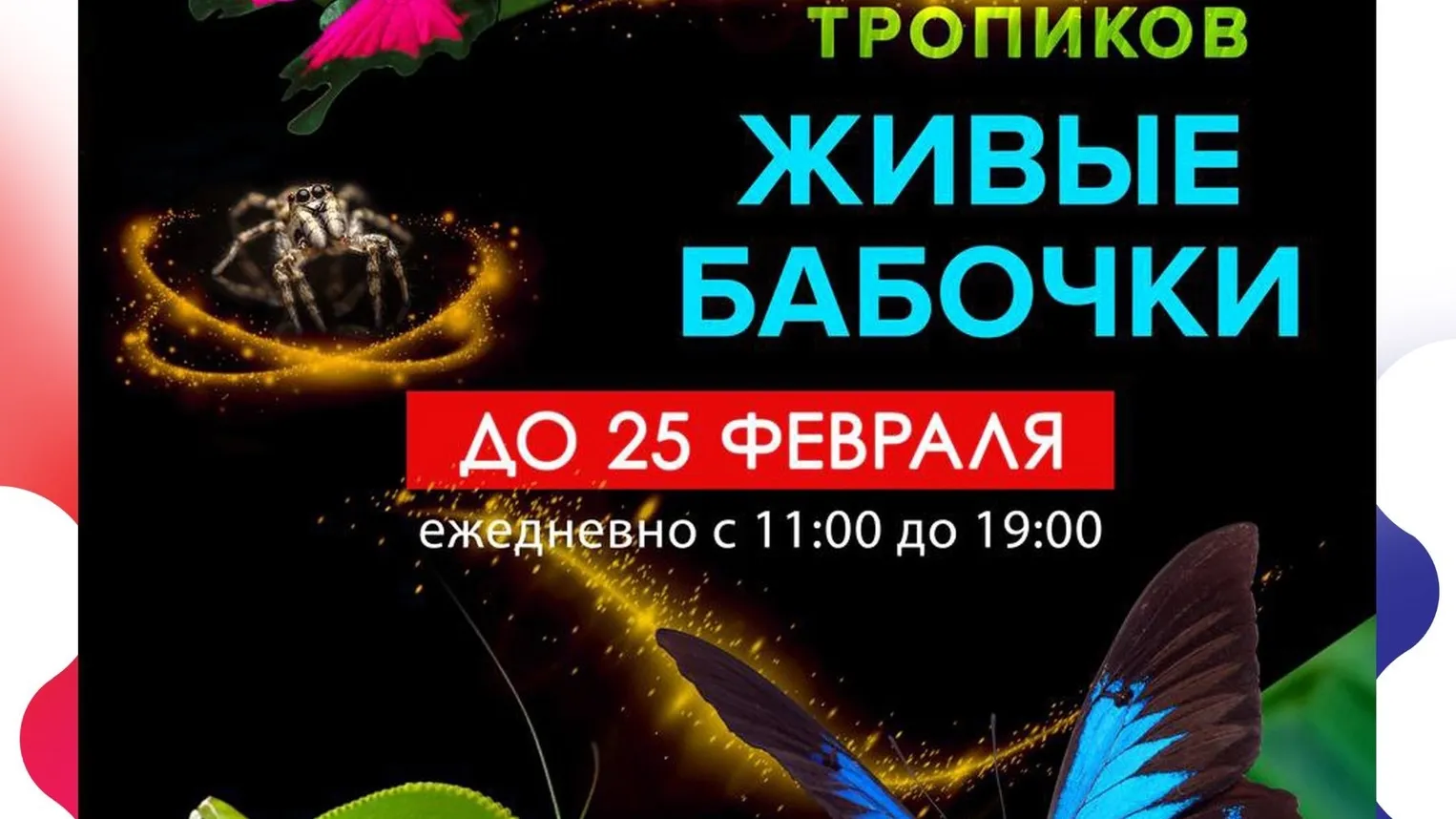 Фото: Филиал «На Большевистской» Центрального Дворца культуры «Созвездие»/ВКонтакте.