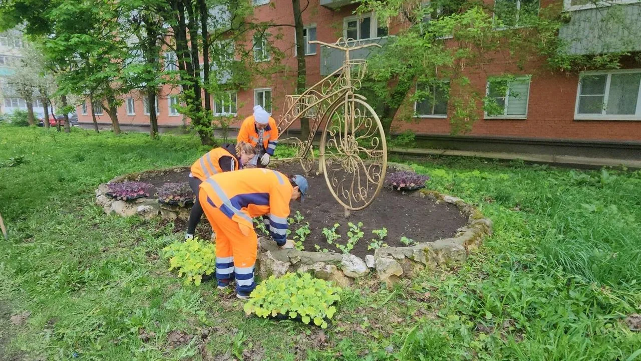 Картинка