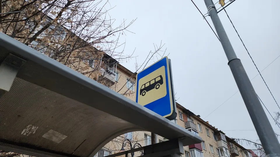 Фото: МедиаБанк Подмосковья/Александр Степушкин