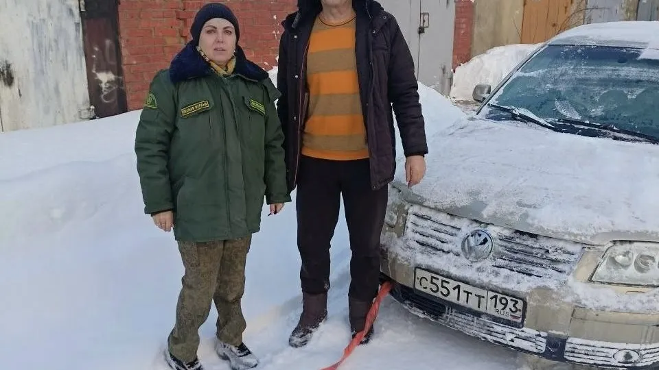 Фото: ГАУ МО «Мособллес»