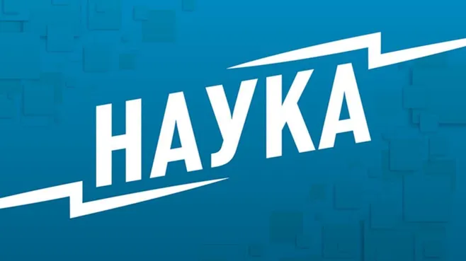 Новый вид пингвинов в Индийском океане: как ученые нашли то, что скрывалось тысячи лет?