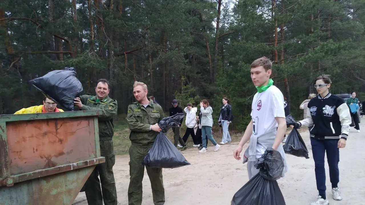 Фото: Егорьевское лесничество