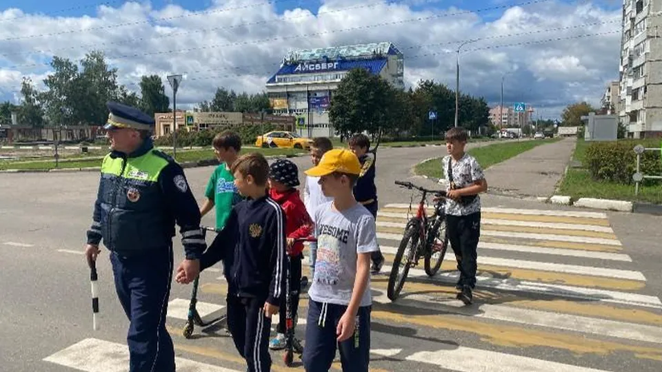 Фото: Госавтоинспекция Павлово-Посадского г.о.