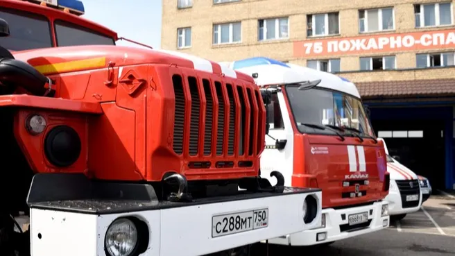 Ирина Зубарева