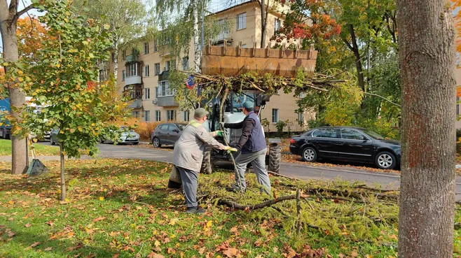 Картинка