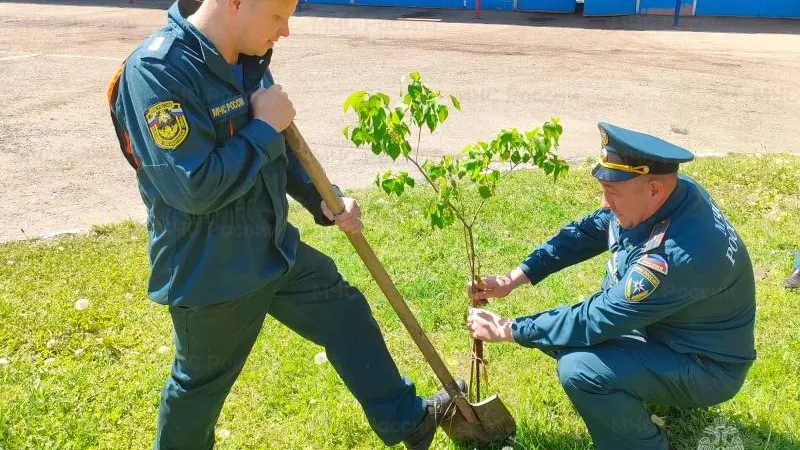 Фото: Главное управление МЧС России по Московской области