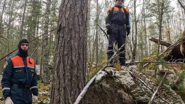 МЧС Красноярского края