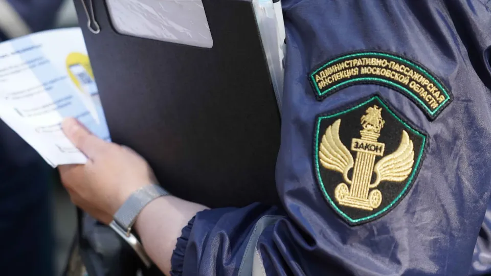 Фото: пресс-служба администрации г.о. Котельники