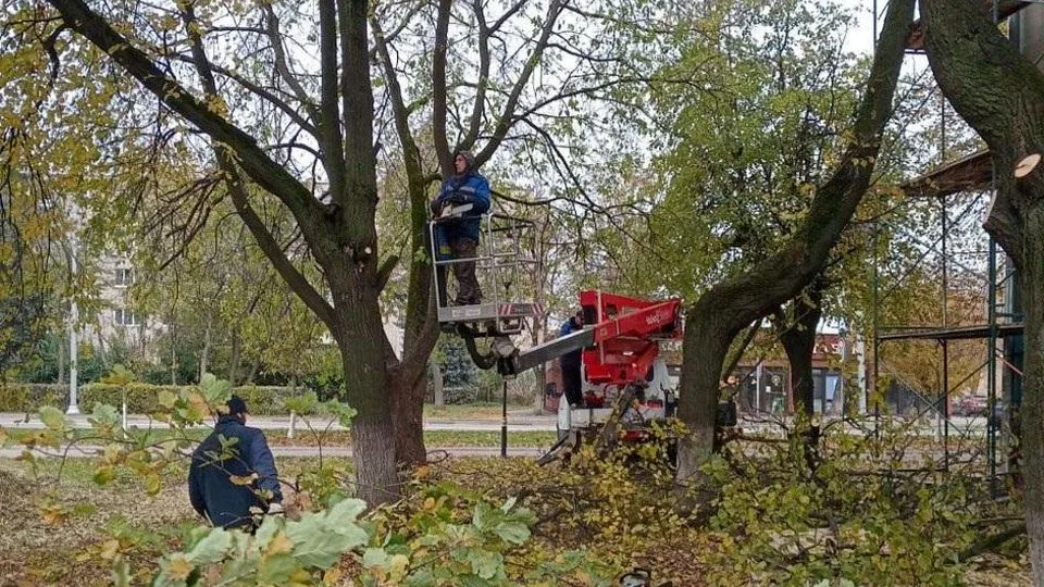 Фото: пресс-служба Министерства чистых дел Подмосковья