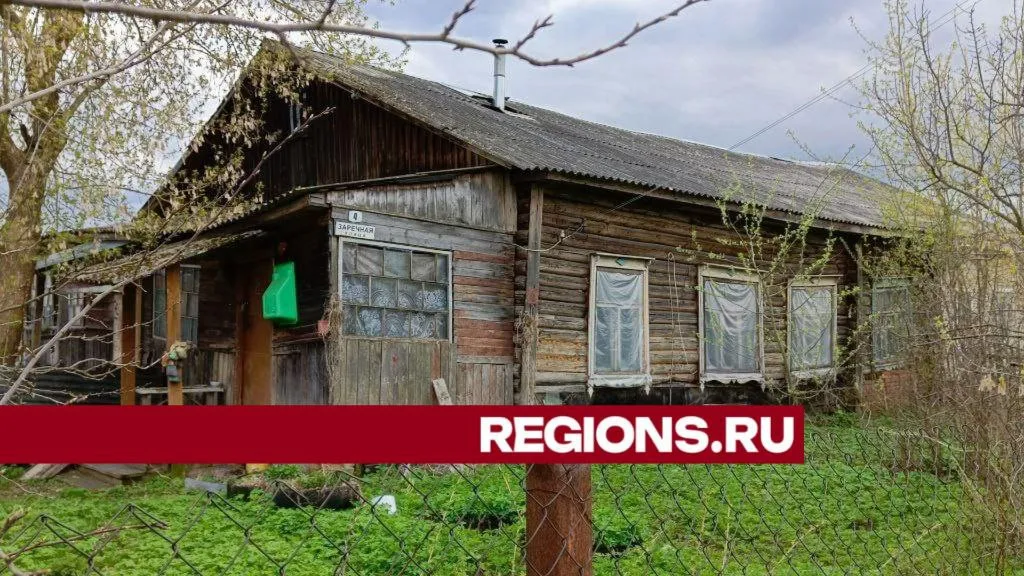 Фото: Евгений Рой