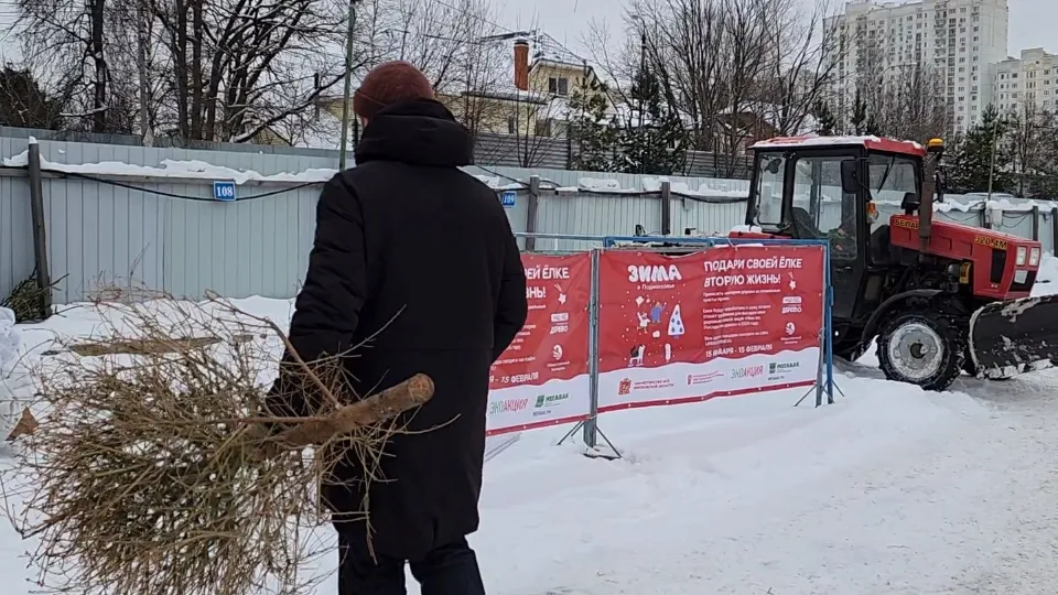 Фото: МедиаБанк Подмосковья/Никита Сморкалов