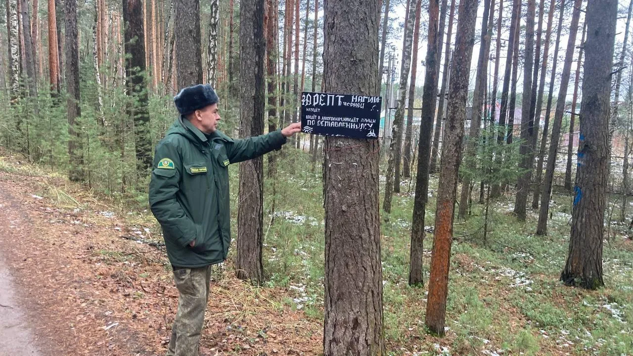 Фото: Комитет лесного хозяйства МО