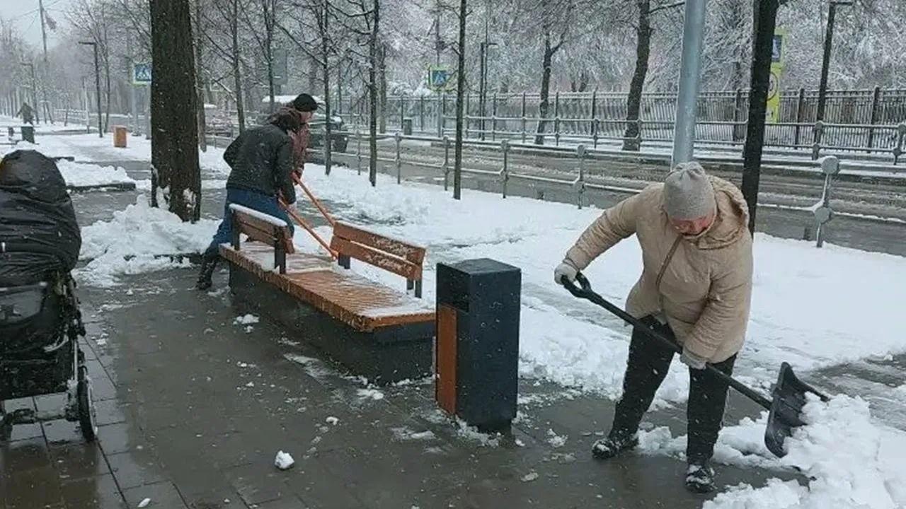 Картинка