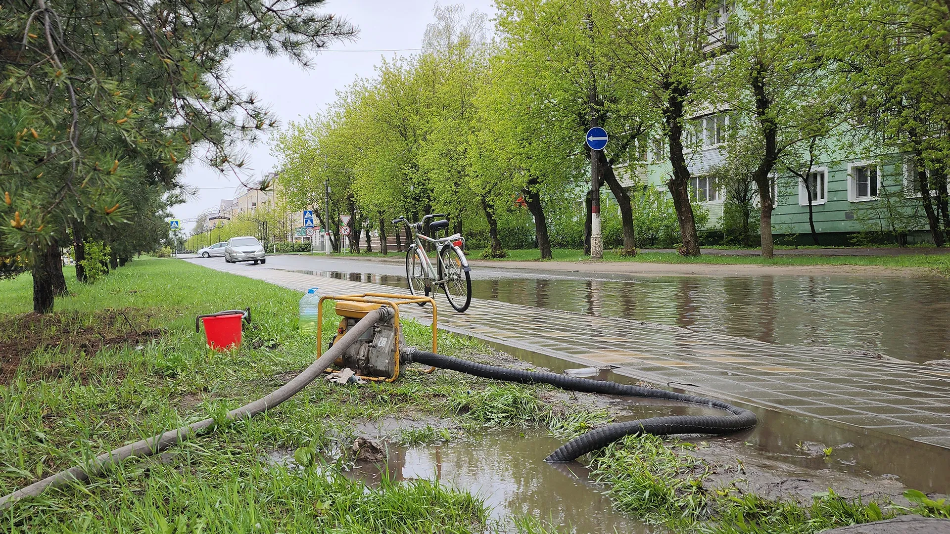 Фото: МедиаБанк Подмосковья/Валерия Тингаева