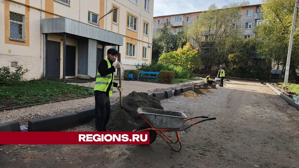 Фото: REGIONS/Александр Степушкин