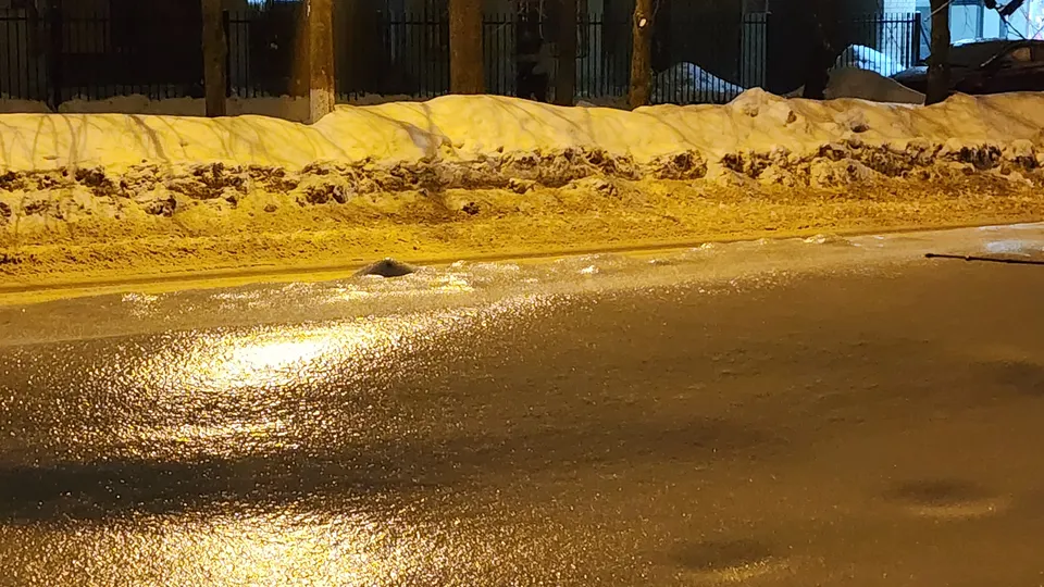 Фото: МедиаБанк Подмосковья/Дмитрий Павлов