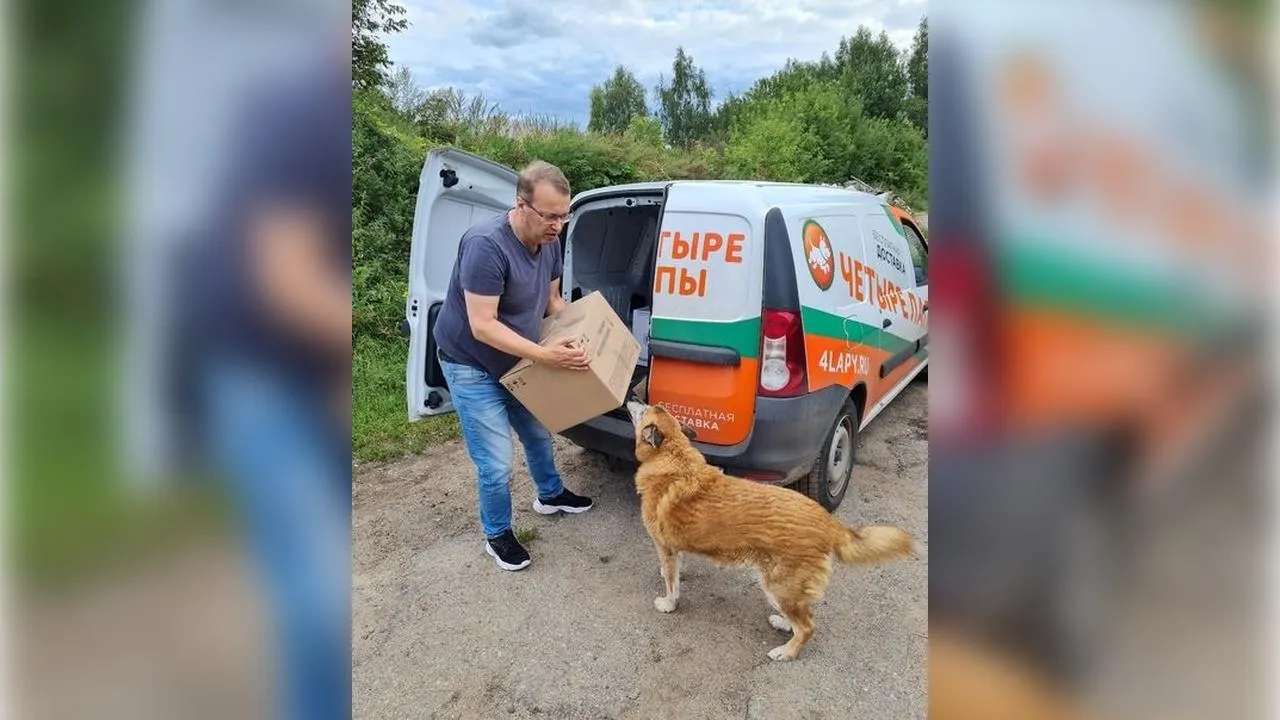 Картинка