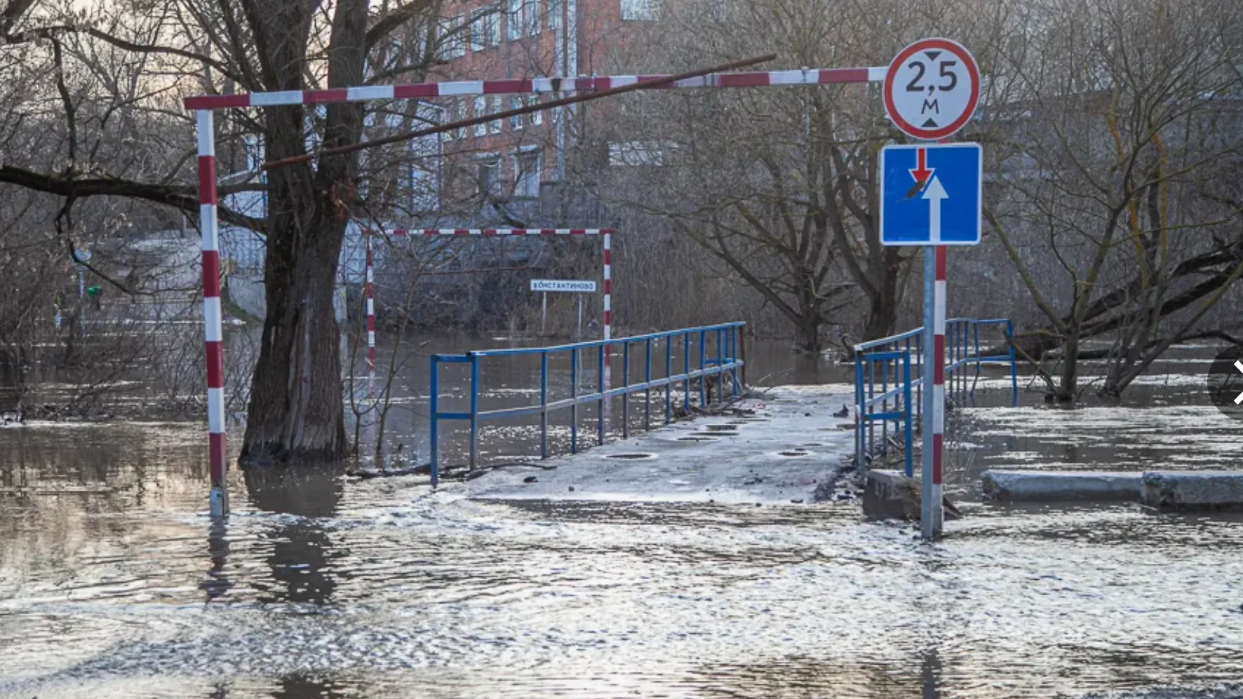 Фото: администрация городского округа Домодедово
