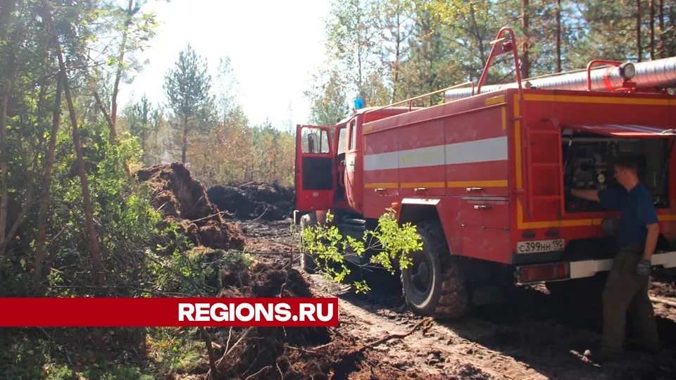 Фото: REGIONS/Василий Тремасов