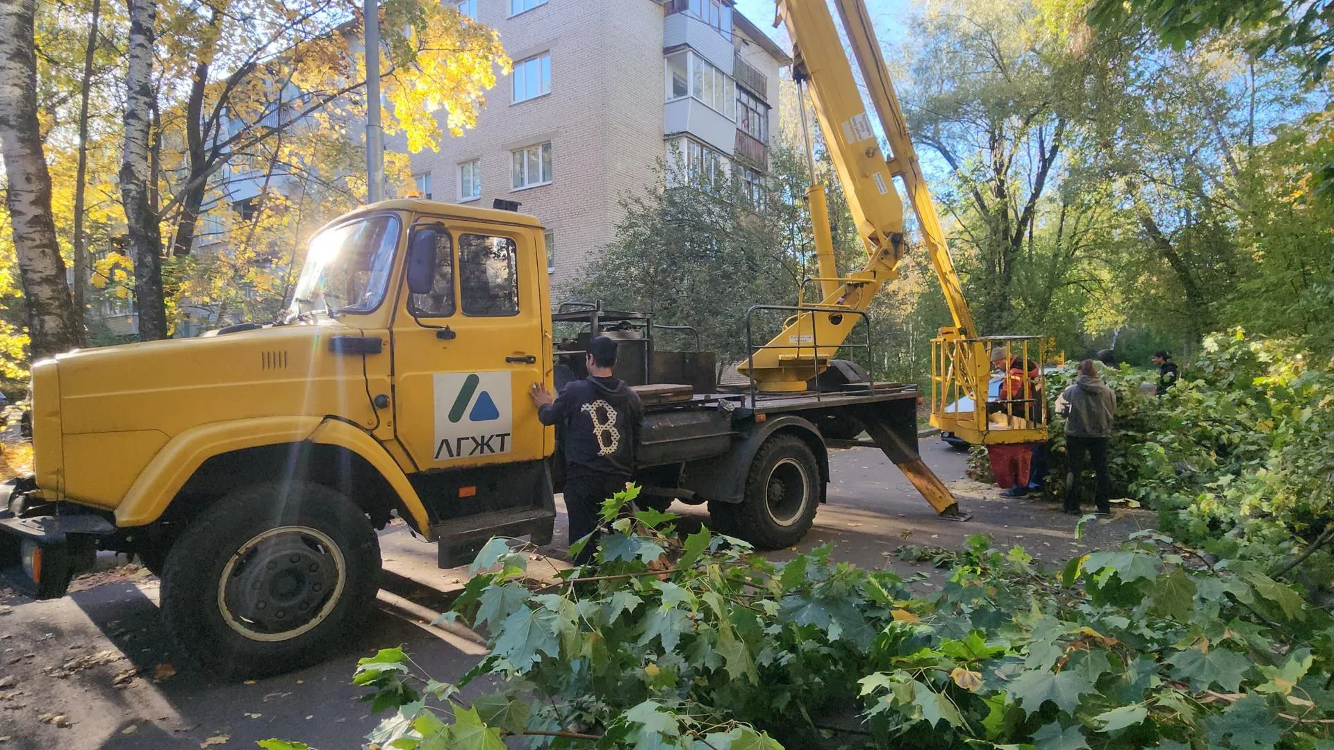 Картинка