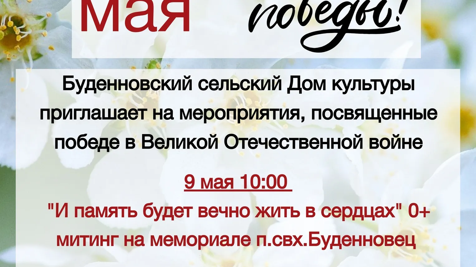 Фото: vk.com/Буденновский сельский дом культуры.