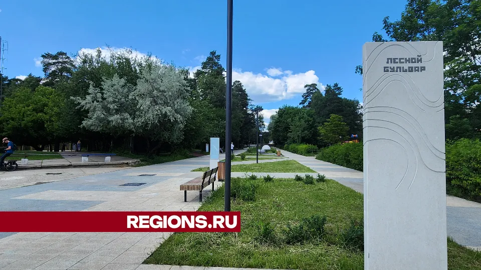 Фото: Анна Мороз
