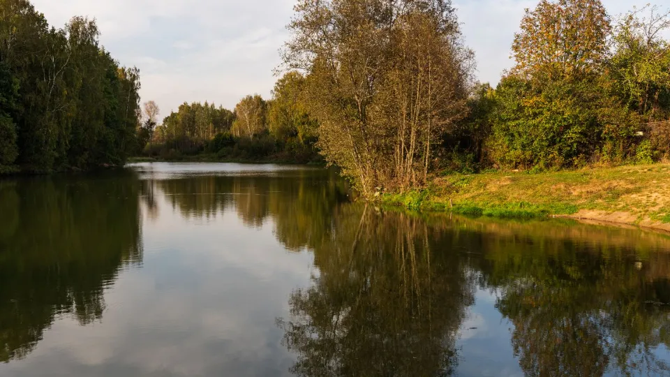 Фото: медиасток.рф