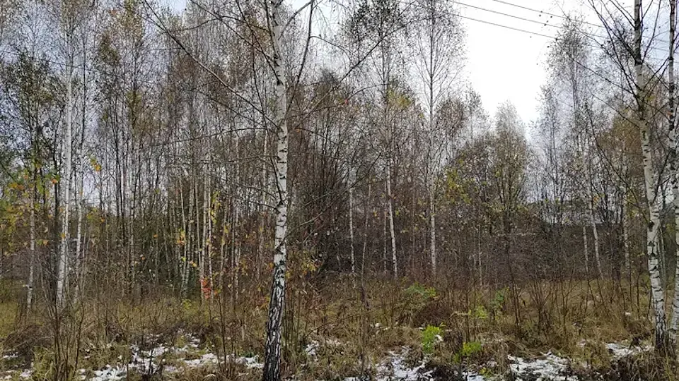 Фото: Комитет по конкурентной политике МО